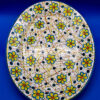 Sperlunga ovale ragnatela di fiori